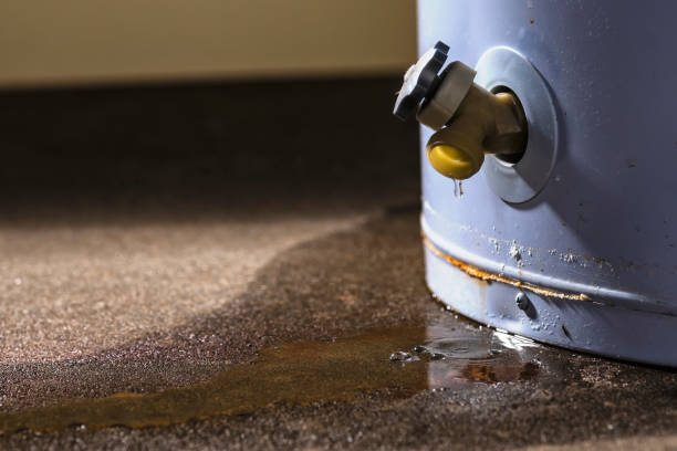 Best Ceiling water damage repair  in Mount Hermon, VA
