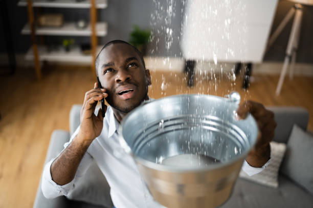 Best Professional water damage repair  in Mount Hermon, VA