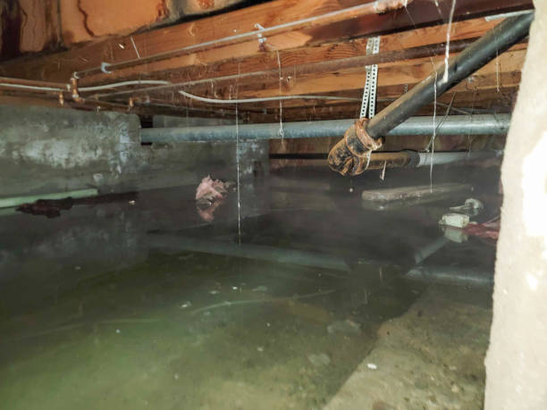 Best Flooded house restoration  in Mount Hermon, VA