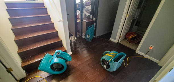 Water damage restoration process in VA