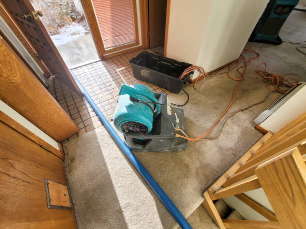 Best Water damage cleanup near me  in Mount Hermon, VA