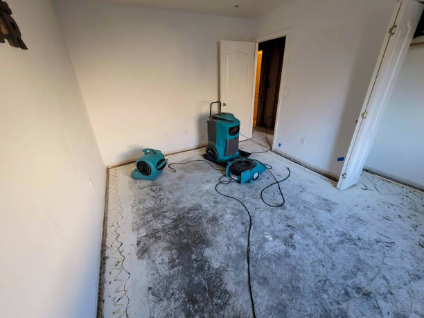 Best Professional water damage repair  in Mount Hermon, VA
