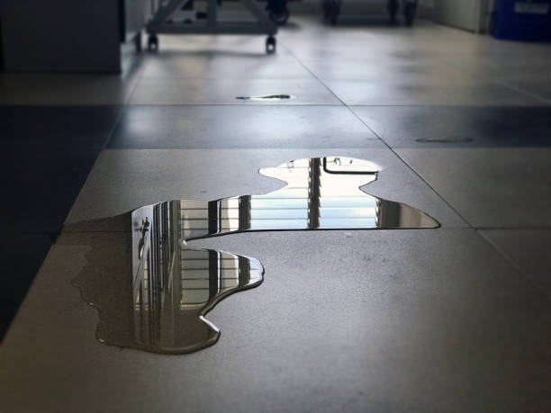Best 24-hour water damage restoration  in Mount Hermon, VA