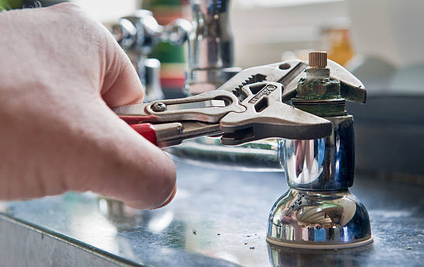 Best Mold removal after water damage  in Mount Hermon, VA