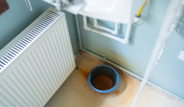 Best Professional water damage repair  in Mount Hermon, VA